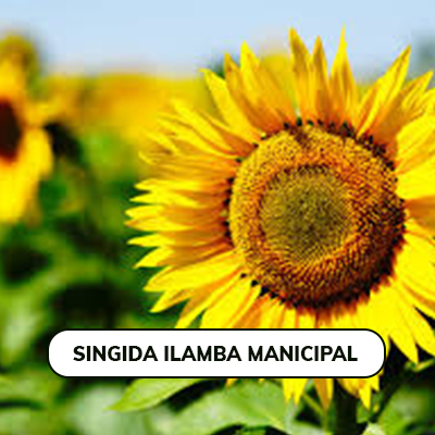 Singida Ilamba Municipal